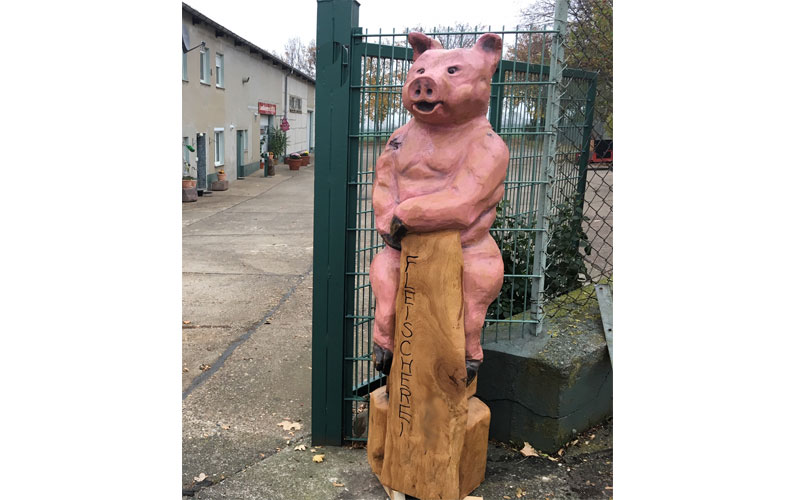 Schwein für eine Fleischerei